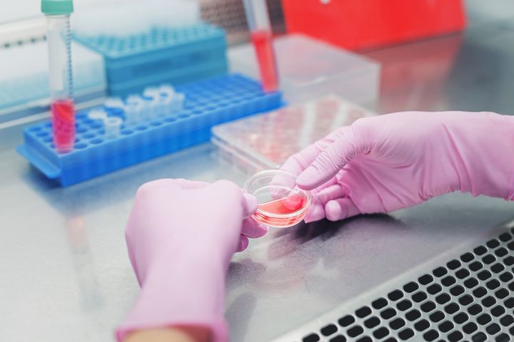 Test ELISA jest używany do diagnostyki chorób, takich jak borelioza