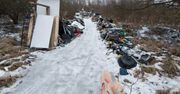 Gorzów: Hałdy śmieci w rezerwacie. Sprawca już ustalony