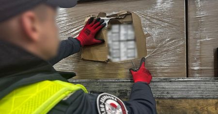 Miały być artykuły medyczne. Kontrola ujawniła coś zupełnie innego