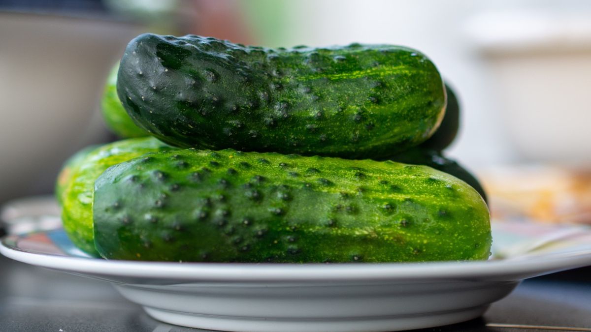 Jak przechowywać świeże ogórki?