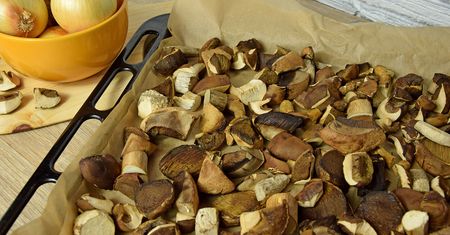 Polacy marnują kilogramy grzybów. Wszystko przez prosty błąd