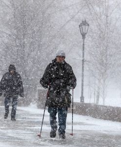 Bestia ze wschodu powróci? Ekspert: "Mrozy będą łagodniejsze"