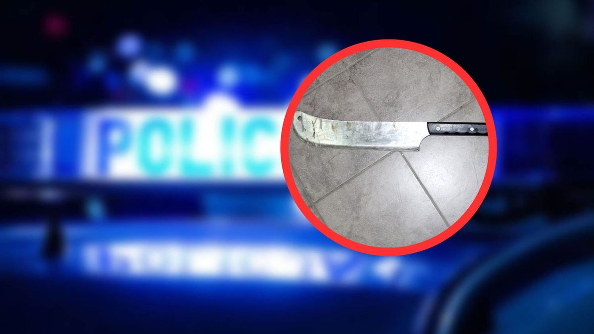 Maczeta - zdjęcie poglądowe