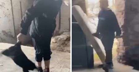 To jeszcze dzieci. Dotarli do nagrań z Jeleniej Góry. Sprawa na policji