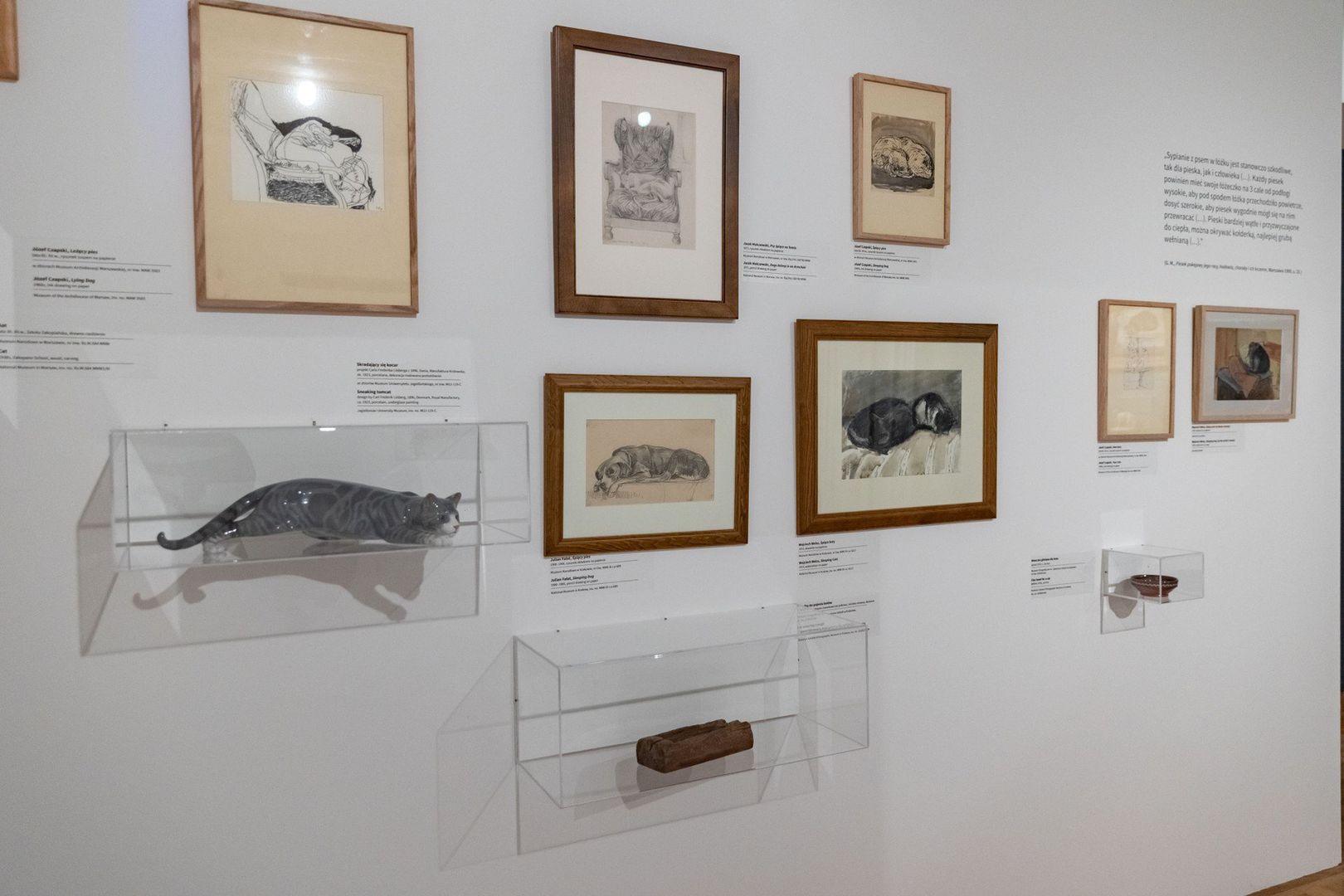 Wystawa &#34;Miasto zwierząt&#34; w Muzeum Krakowa