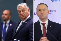 Nawrocki nie spotkał się z Orbanem. Co sądzą o tym Polacy?