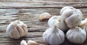Nietypowe zastosowania czosnku. Na co pomaga? (WIDEO)