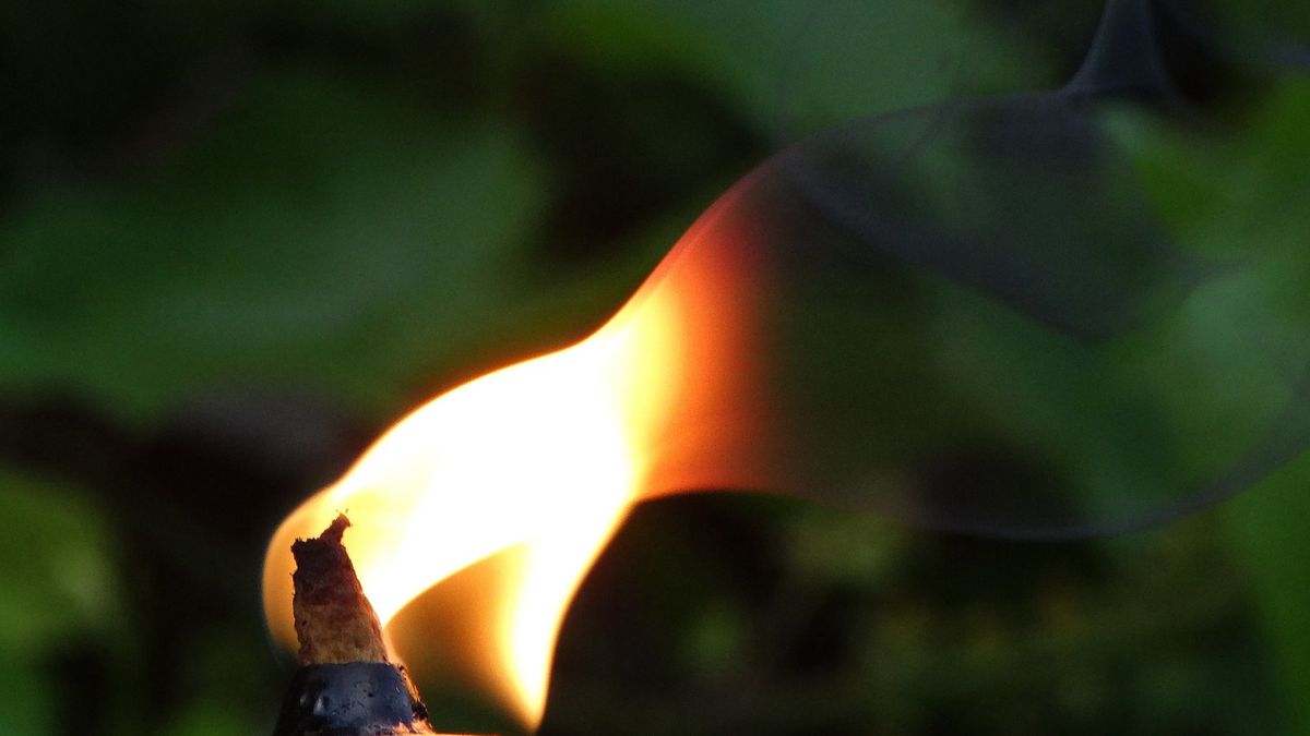 Zdjęcie ilustracyjne 