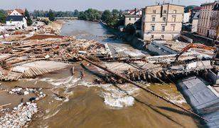 Nie mieli żadnych skrupułów. Służby dopadły kolejnych szabrowników