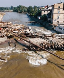 Nie mieli żadnych skrupułów. Służby dopadły kolejnych szabrowników