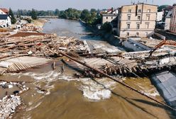 Nie mieli żadnych skrupułów. Służby dopadły kolejnych szabrowników