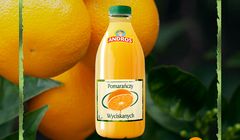 Plej pracuje dla marki Andros