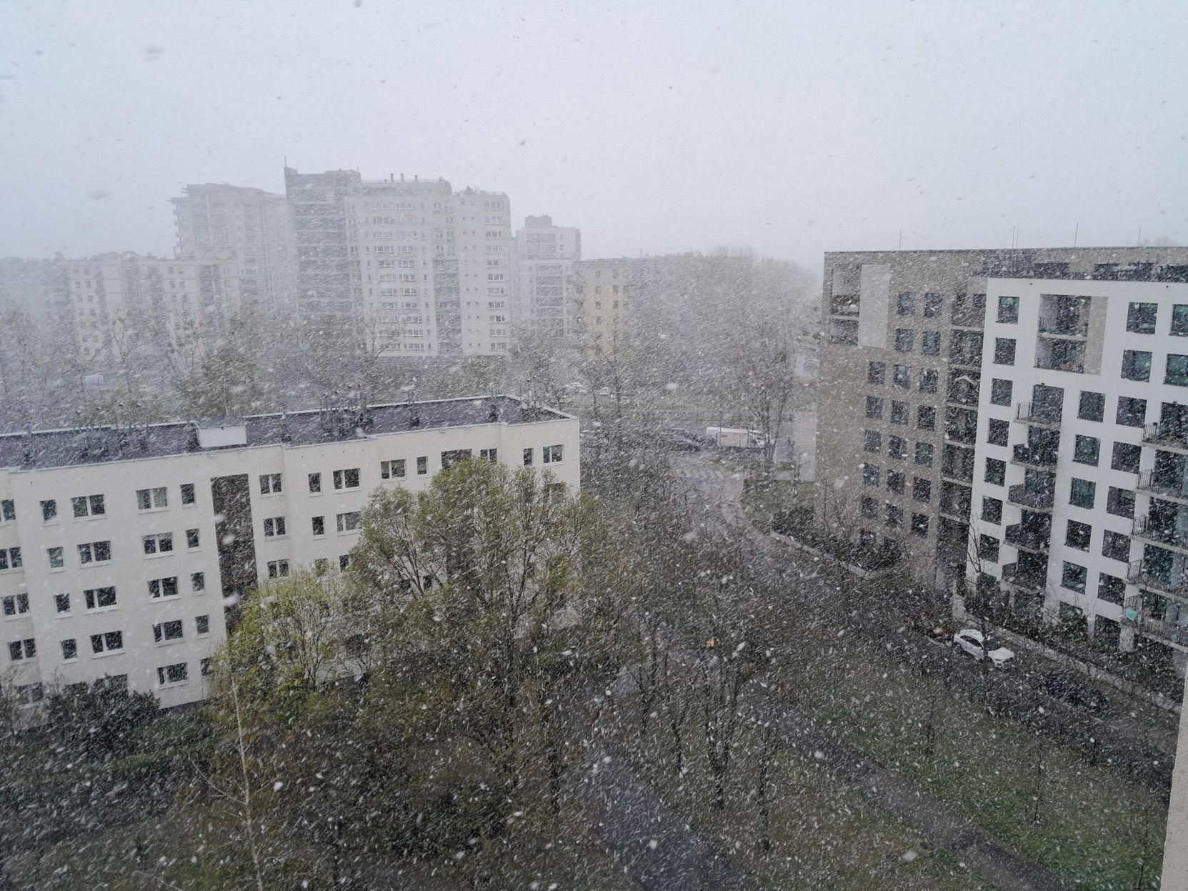 ŚNIEŻYCA pOGODA