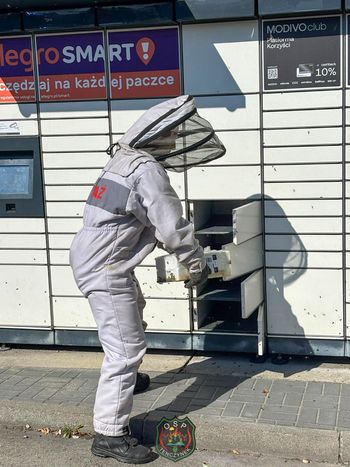 Tenczynek: Rój pszczół opanował paczkomat. Strażacy w akcji z gazą i płynem do dezynfekcji