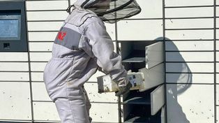 Tenczynek: Rój pszczół opanował paczkomat. Strażacy w akcji z gazą i płynem do dezynfekcji