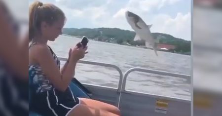 "Latająca" ryba i niespodziewany atak. Wszystko nagrali telefonem