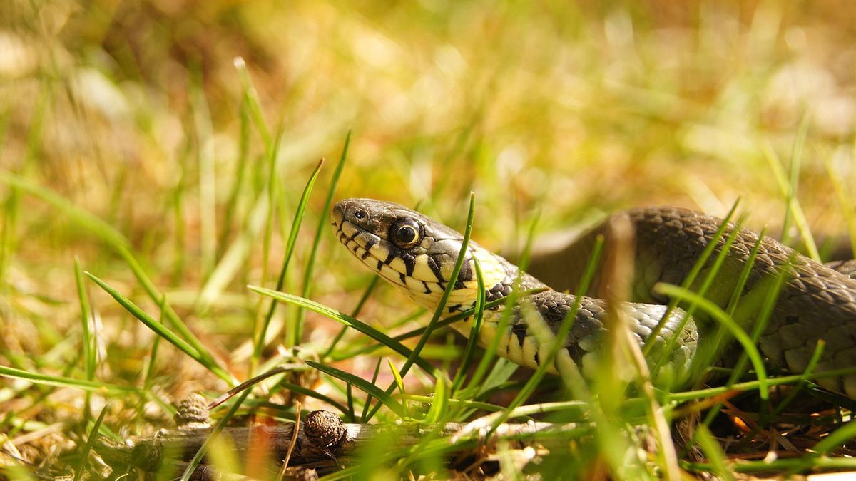 Zdjęcie ilustracyjne