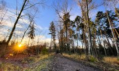Kłodzko. Program "Zanocuj w lesie" również na Dolnym Śląsku. Nadleśnictwo Międzylesie zaprasza