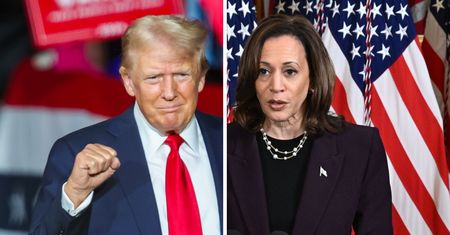 Harris czy Trump? Najnowszy sondaż wskazuje zwycięzcę