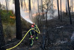 Pożary lasów we Francji. 10 tys. osób bez dachu nad głową