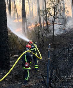 Pożary lasów we Francji. 10 tys. osób bez dachu nad głową