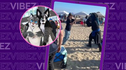 Mężczyzna zaatakowany na plaży przez furry. Należało mu się?