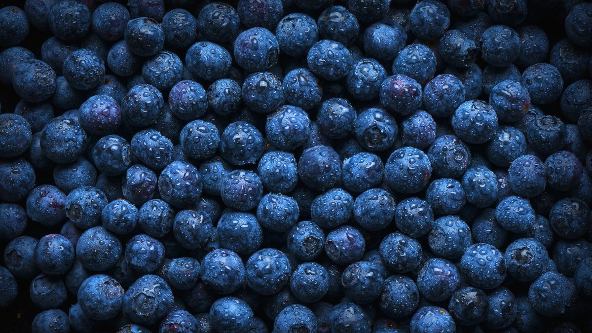 Borówki są zdrowsze, niż myślisz