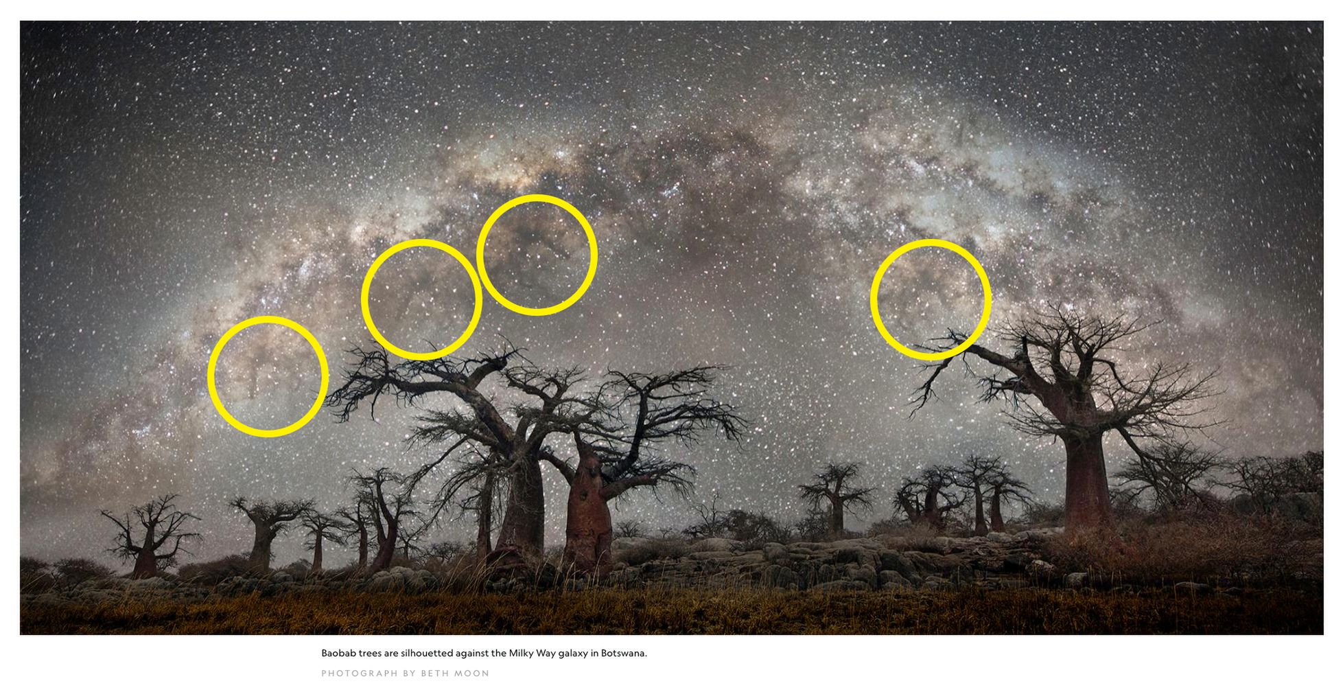 National Geographic zamieściło przerobione zdjęcie. Internauci są wzburzeni 1