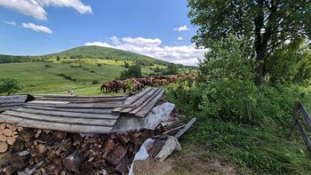 Gorlice: 60 tys. euro na promocję piękna Beskidu Niskiego