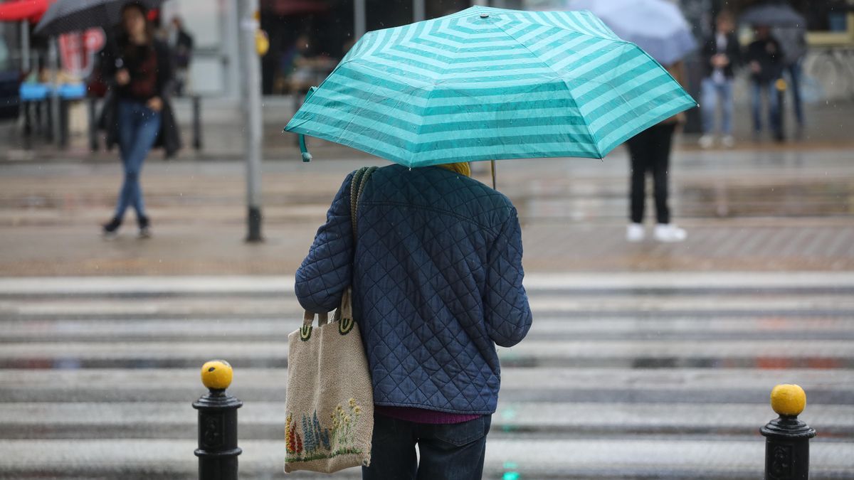 przechodnie
Warszawa, 10.06.2024. Opady deszczu w Warszawie, 10 bm. (az/awol) PAP/ Albert Zawada
Albert Zawada
deszcz, ludzie, opady deszczu, parasole, parasolka, parasolski, piesi, przechodnie, ruch uliczny, ulica
