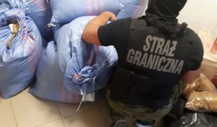 Celny strzał strażników granicznych. W aucie znaleźli nielegalny tytoń i poszukiwanego listem gończym