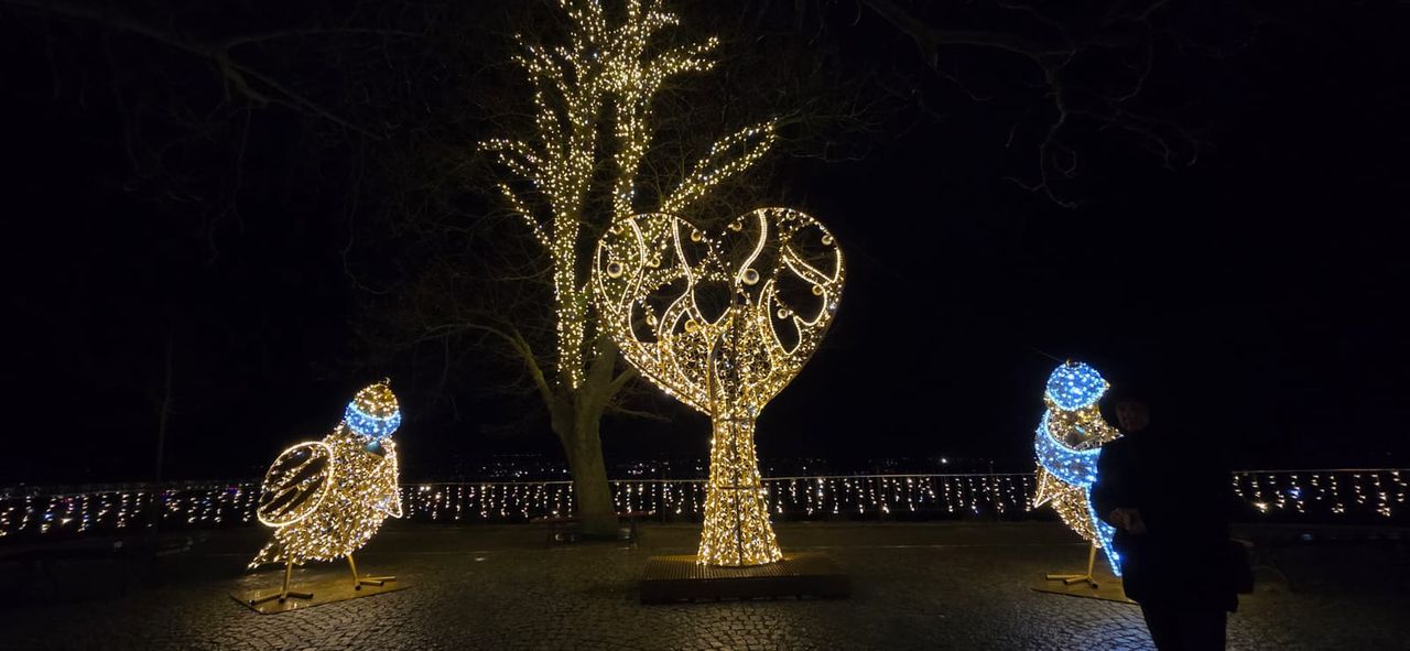 Płockie Ogrody �Światła