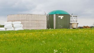 Biomasa to nie OZE. Niemcy chcą zmiany definicji na szczeblu UE