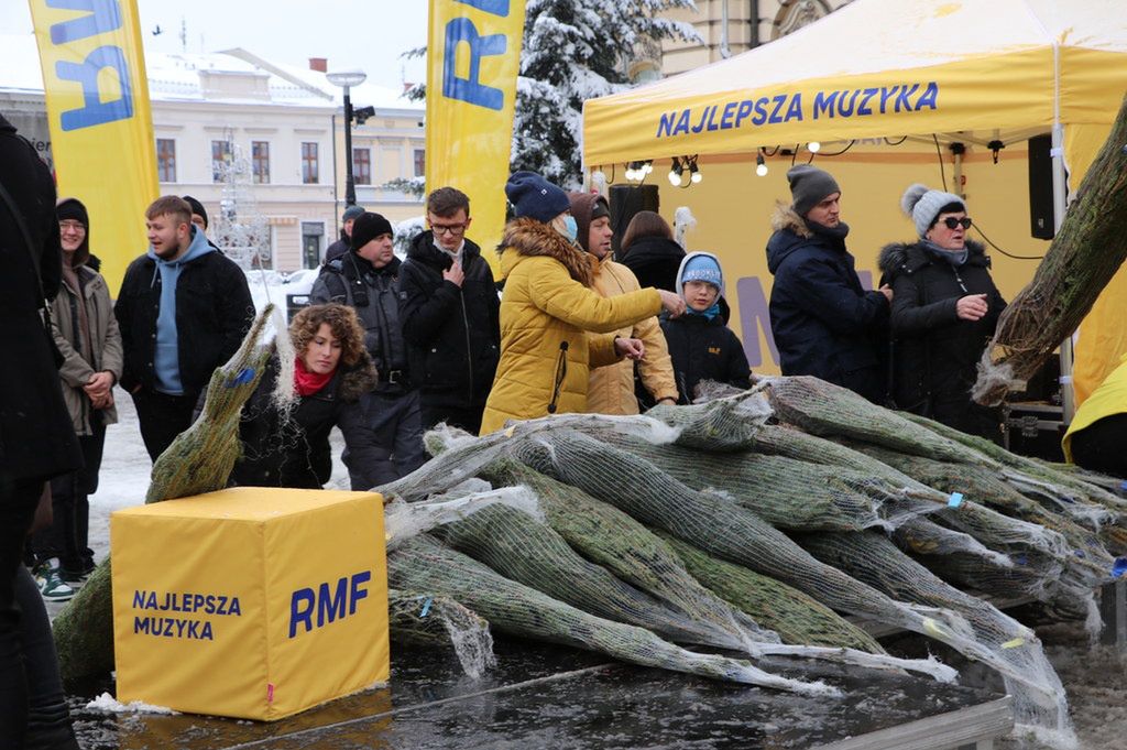 RMF FM розпочали масштабну акцію, в ходія кої роздаватимуть ялинки 