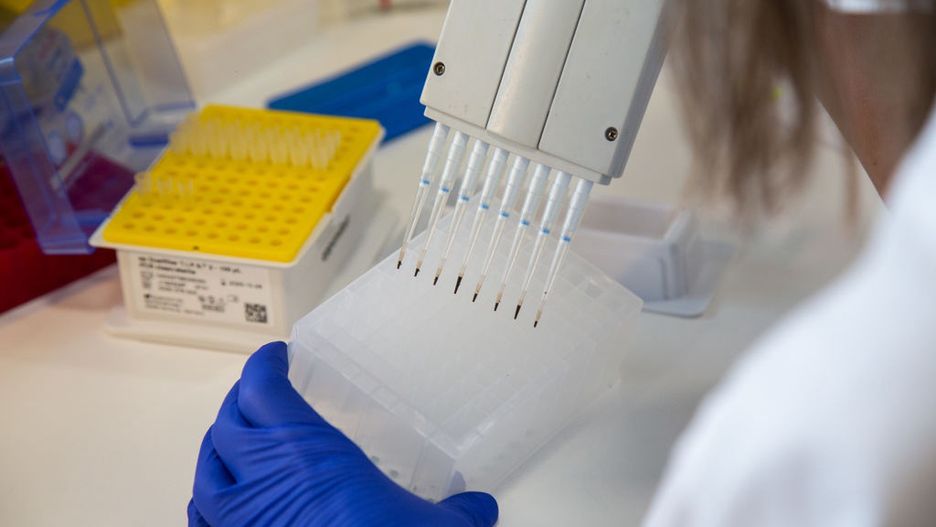 Badania nad iwermektyną (zdjęcie ilustracyjne) 