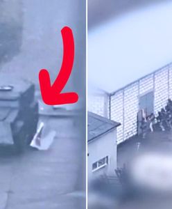 Staranowali bramę do posesji. Wielka akcja służb pod Gdańskiem