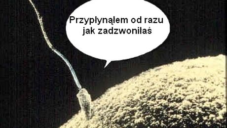 Sex i komórka to zgrana para, czyli „spice up your life” 1