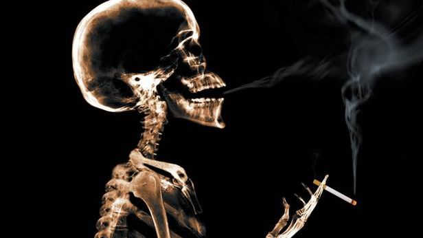 Wynalazki, które wyprzedziły swój czas [cz. 3.]. Mysz i profilaktyka antynikotynowa 1