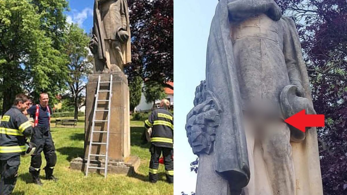 Osy wybrały nietypową lokalizację na swoje gniazdo