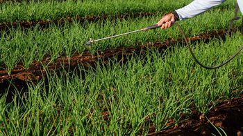 Jakie opryski wykonać w kwietniu? Tak zadbasz o swoje plony