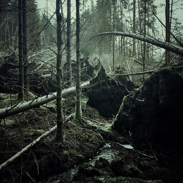 Niesamowite krajobrazy Szkocji uchwycone iPhone’m 11