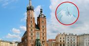 Znaleźli go na ścianie w Krakowie. "Niecodzienny turysta"