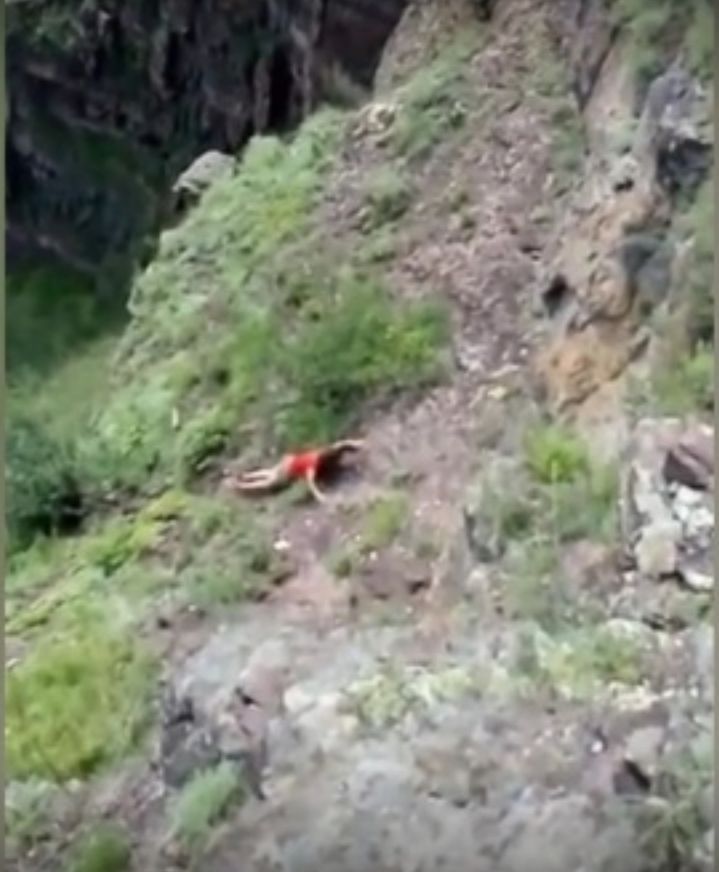 Ostatnie selfie. Nagrano moment, w którym kobieta spada w przepaść