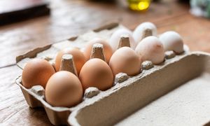 Jajka białe czy brązowe? Naukowcy rozwiewają wątpliwości
