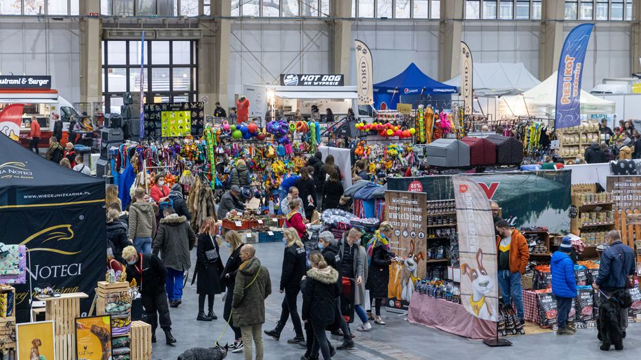 Międzynarodowa Wystawa Psów w Poznaniu - 2021 rok