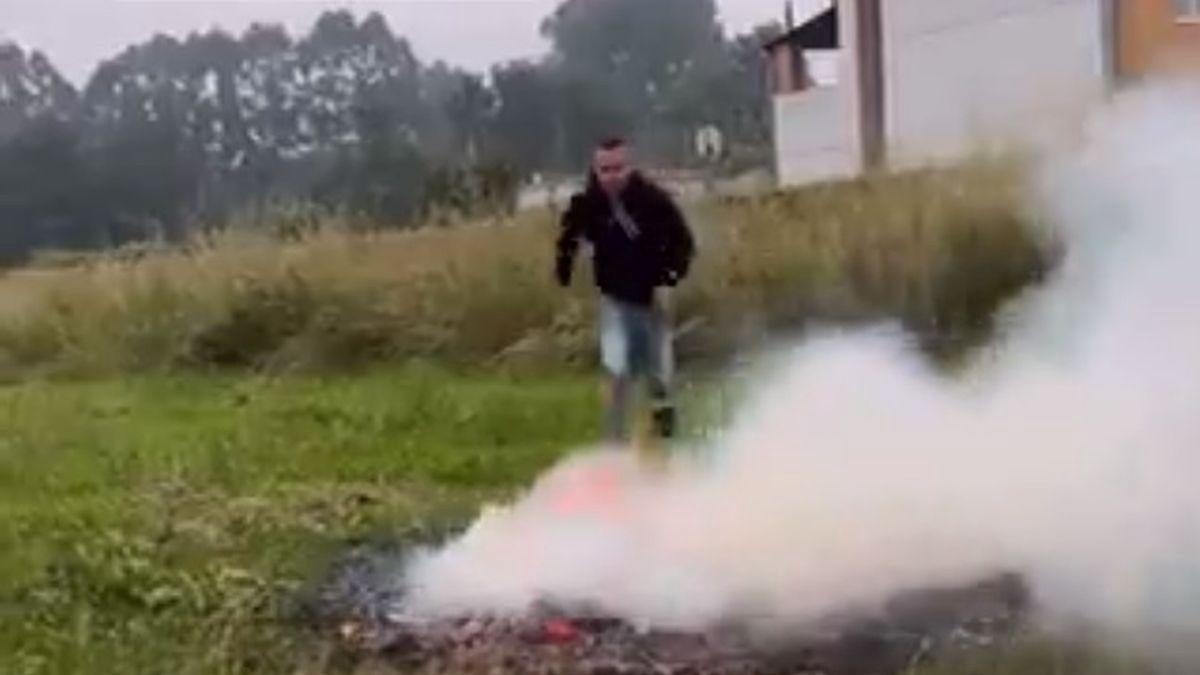 Na zdjęciu: Angelino