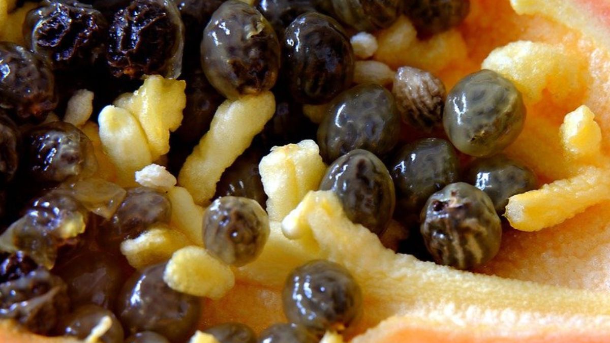 Dlaczego warto jeść papaję? 