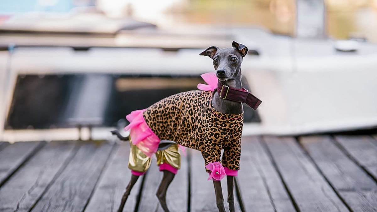 Światowy Dzień Zwierząt: Oto najlepsze zdjęcia waszego autorstwa 1