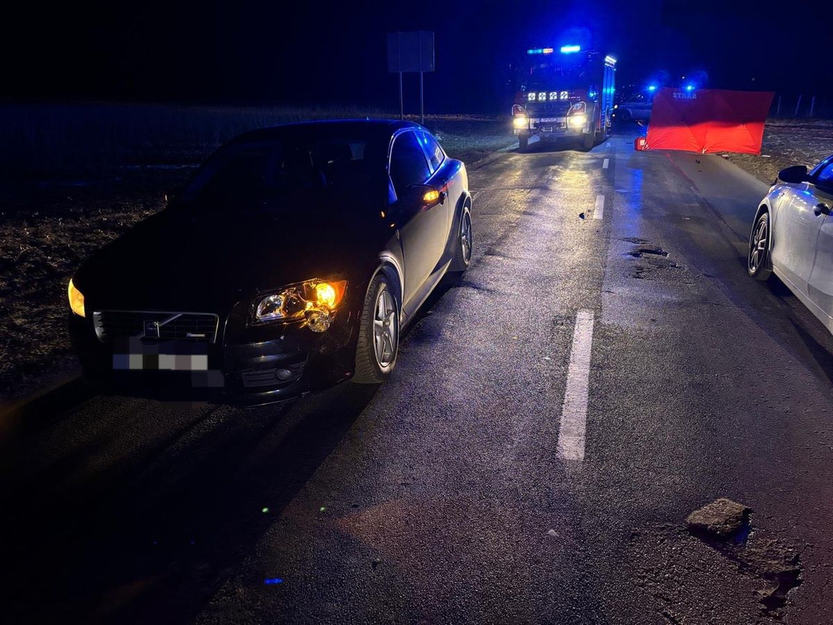 Lubelskie: Nocna tragedia. Pieszy zginął na miejscu