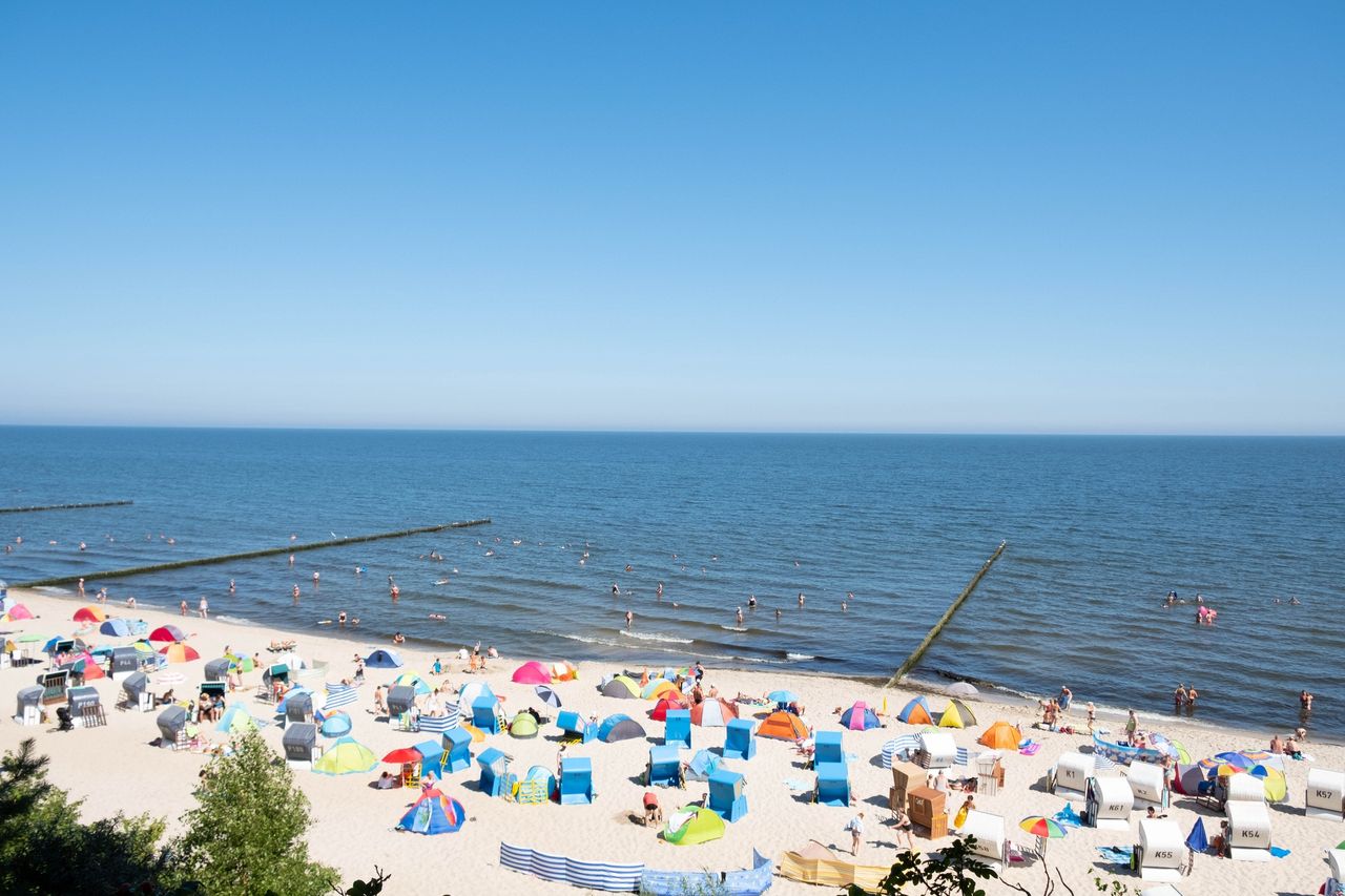 Wakacje 2020. Dzik gonił turystę na nadbałtyckiej plaży. Udostępniono nagranie